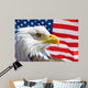 Bald eagle and flag symbols USA Wall Mural