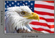 Bald eagle and flag symbols USA Wall Mural