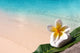 Pebble Frangipani Beach