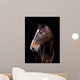 Bay Horse Head Shot
