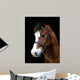 Bay Pony Head Shot