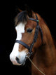 Bay Pony Head Shot