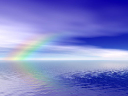 Rainbow Wall Mural