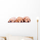 Three Labrador Retriever Puppy Dogs Sleeping Wall Decal