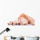 two adorable labrador retriever puppy dogs sleeping Wall Decal