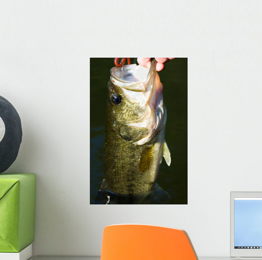 Largemouth Bass Fishing Wall Mural