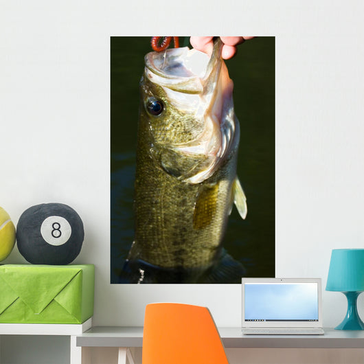 Largemouth Bass Fishing Wall Mural