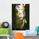 Largemouth Bass Fishing Wall Mural