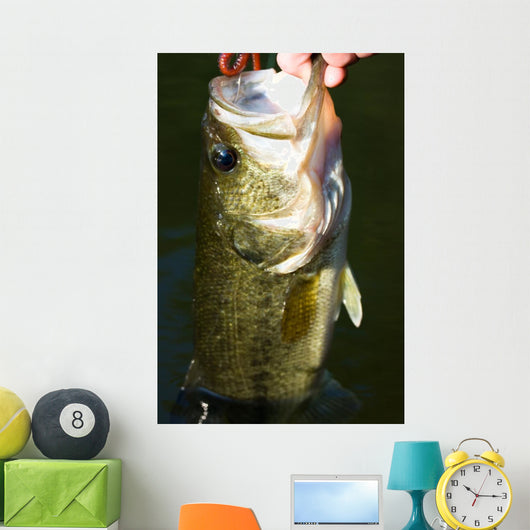 Largemouth Bass Fishing Wall Mural