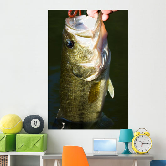 Largemouth Bass Fishing Wall Mural
