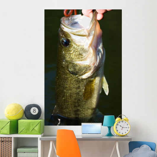 Largemouth Bass Fishing Wall Mural