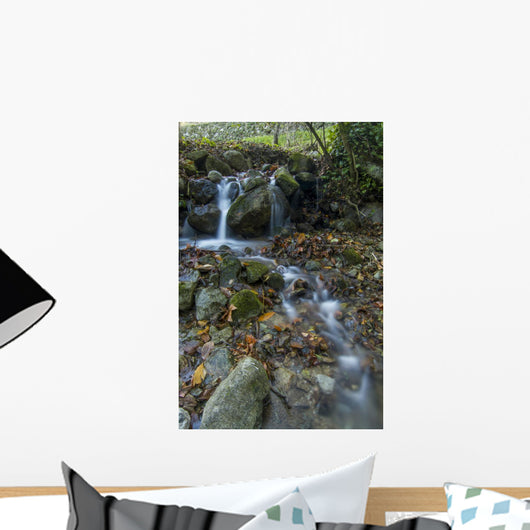 Fresh Flowing Creek Wall Mural