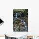 Fresh Flowing Creek Wall Mural