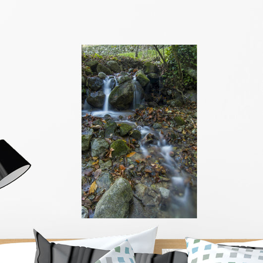Fresh Flowing Creek Wall Mural