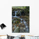 Fresh Flowing Creek Wall Mural