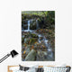 Fresh Flowing Creek Wall Mural