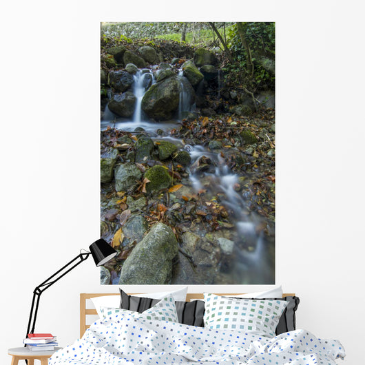 Fresh Flowing Creek Wall Mural