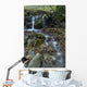 Fresh Flowing Creek Wall Mural