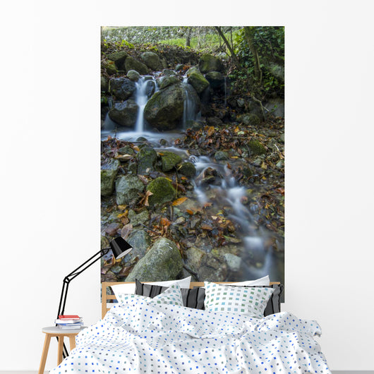 Fresh Flowing Creek Wall Mural