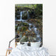 Fresh Flowing Creek Wall Mural