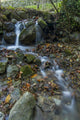 Fresh Flowing Creek Wall Mural