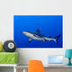 Grey Shark Jaws Ready