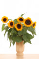 Bunch Sunflowers