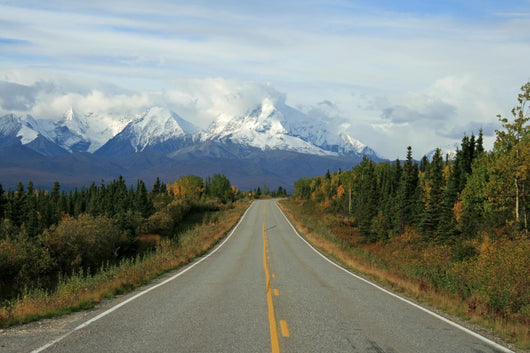 Alaskan Highway Wall Mural