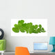 Decorative Clover Leaves over