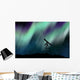 Silhouette Telescope under Aurora