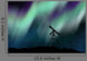 Silhouette Telescope under Aurora