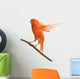 Perched Red Canary Wall Decal