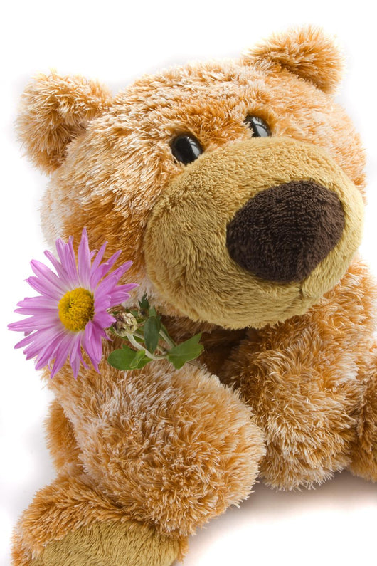 Soft Toy the Bear  with a Flower on a White Background Wall Decal