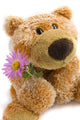 Soft Toy the Bear  with a Flower on a White Background Wall Decal