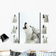 Siberian Husky Sings Wall Mural