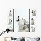 Siberian Husky Sings Wall Mural