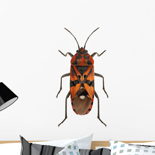 Black and Red Ground Wall Mural