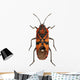 Black and Red Ground Wall Mural