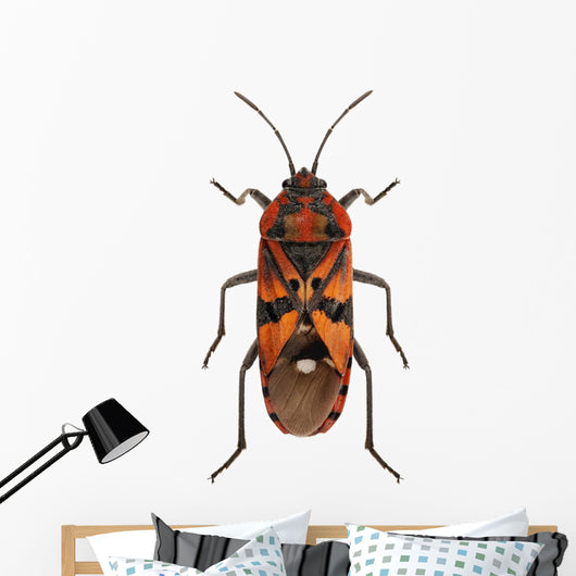 Black and Red Ground Wall Mural
