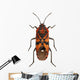 Black and Red Ground Wall Mural