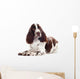 Springer Spaniel Dog Wall Decal