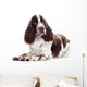 Springer Spaniel Dog Wall Decal