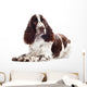 Springer Spaniel Dog Wall Decal