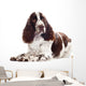Springer Spaniel Dog Wall Decal
