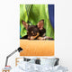 Chihuahua Wall Mural