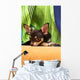 Chihuahua Wall Mural