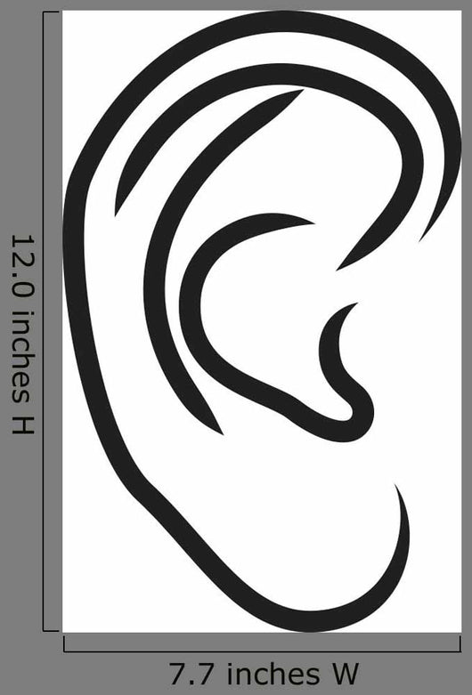 Human Ear Vector Illustration