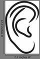Human Ear Vector Illustration