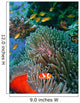 Colorful coral reef fish Wall Mural