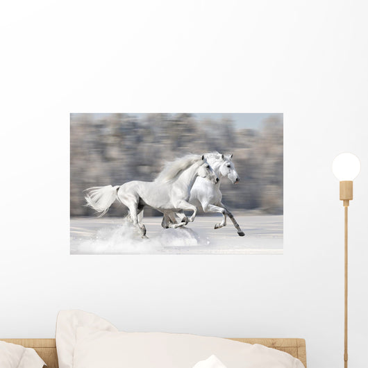 Two White Horses Winter